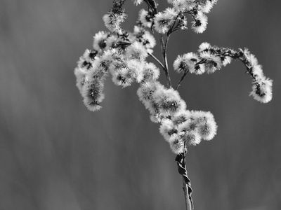 A calm and serene training environment with soft light.